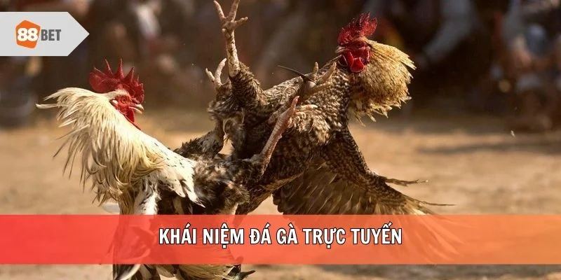 Khái niệm đá gà trực tuyến