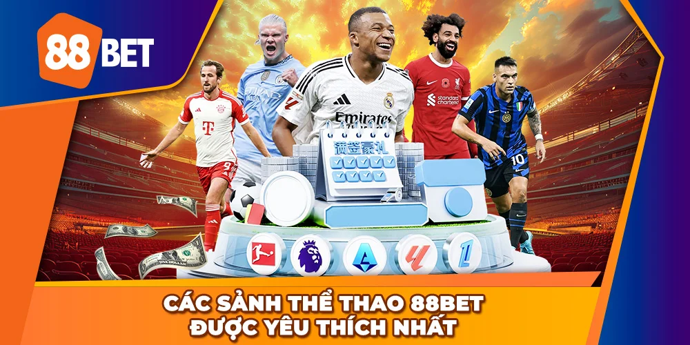 Tổng hợp các sảnh Thể thao được yêu thích