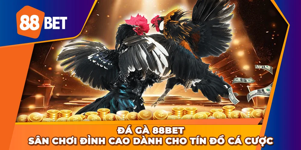 Đá Gà 88BET - Sân chơi đỉnh cao dành cho tín đồ cá cược