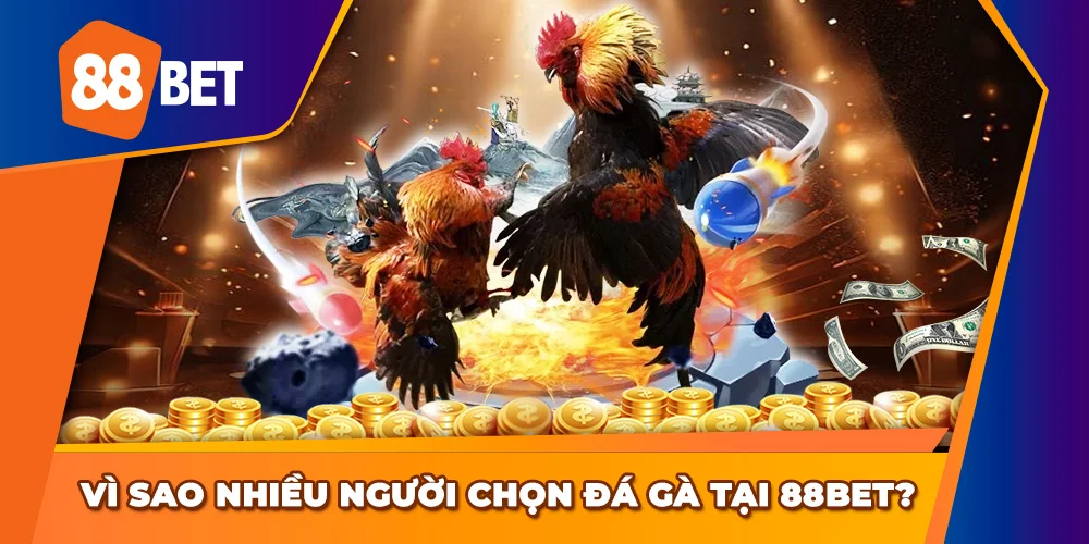 Khám phá những đặc điểm nổi trội của đá gà 88BET